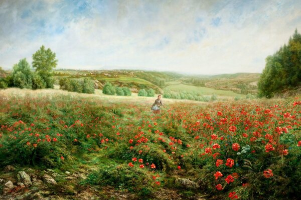 Fille parmi les collines recueille coquelicots