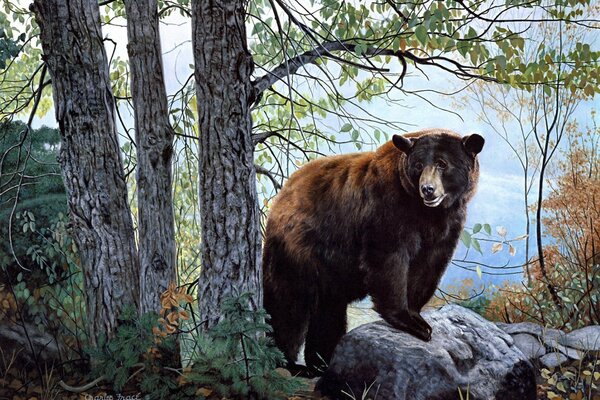 Brown bear on the lake shore