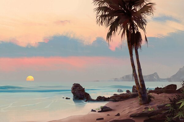 Palmen auf Sonnenuntergang Hintergrund