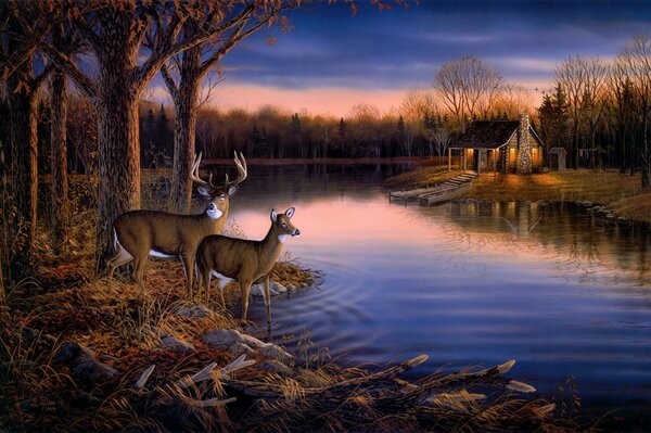 Тихий вечер на природе с оленями на фоне красивого заката