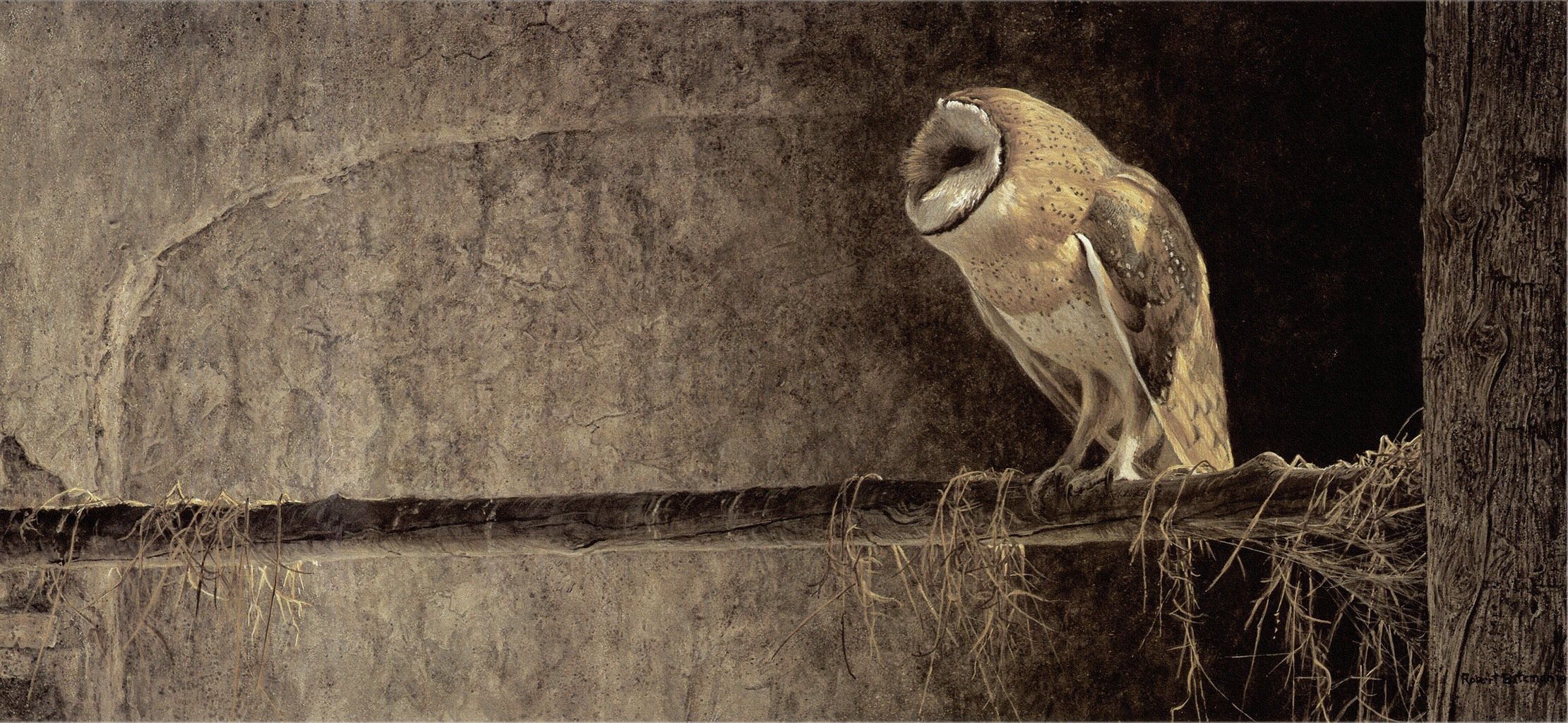 robert bateman -- robert batman -- peinture hibou