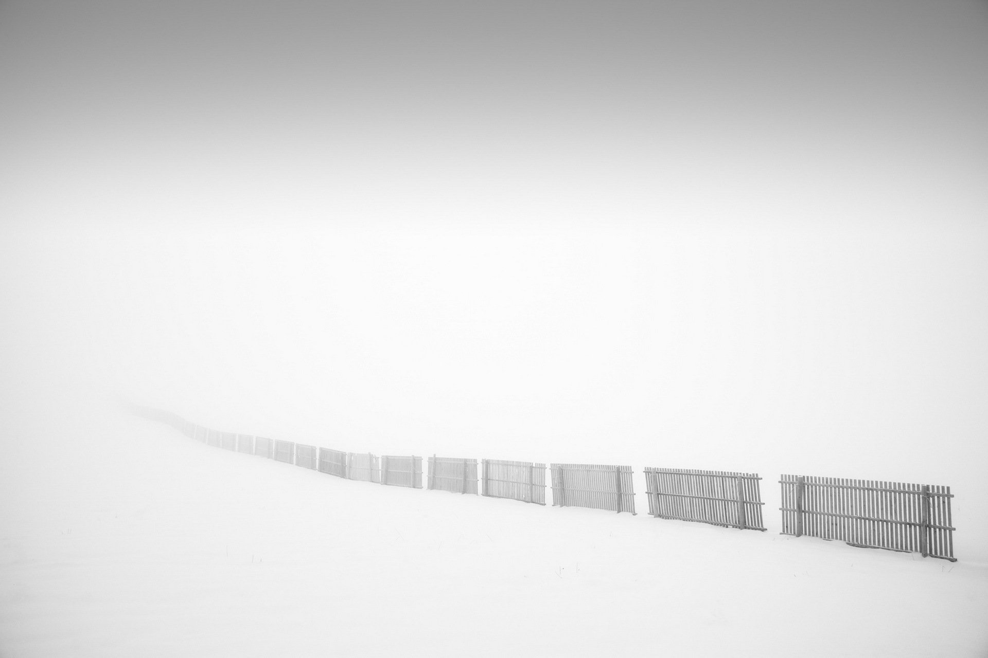 fence fog background