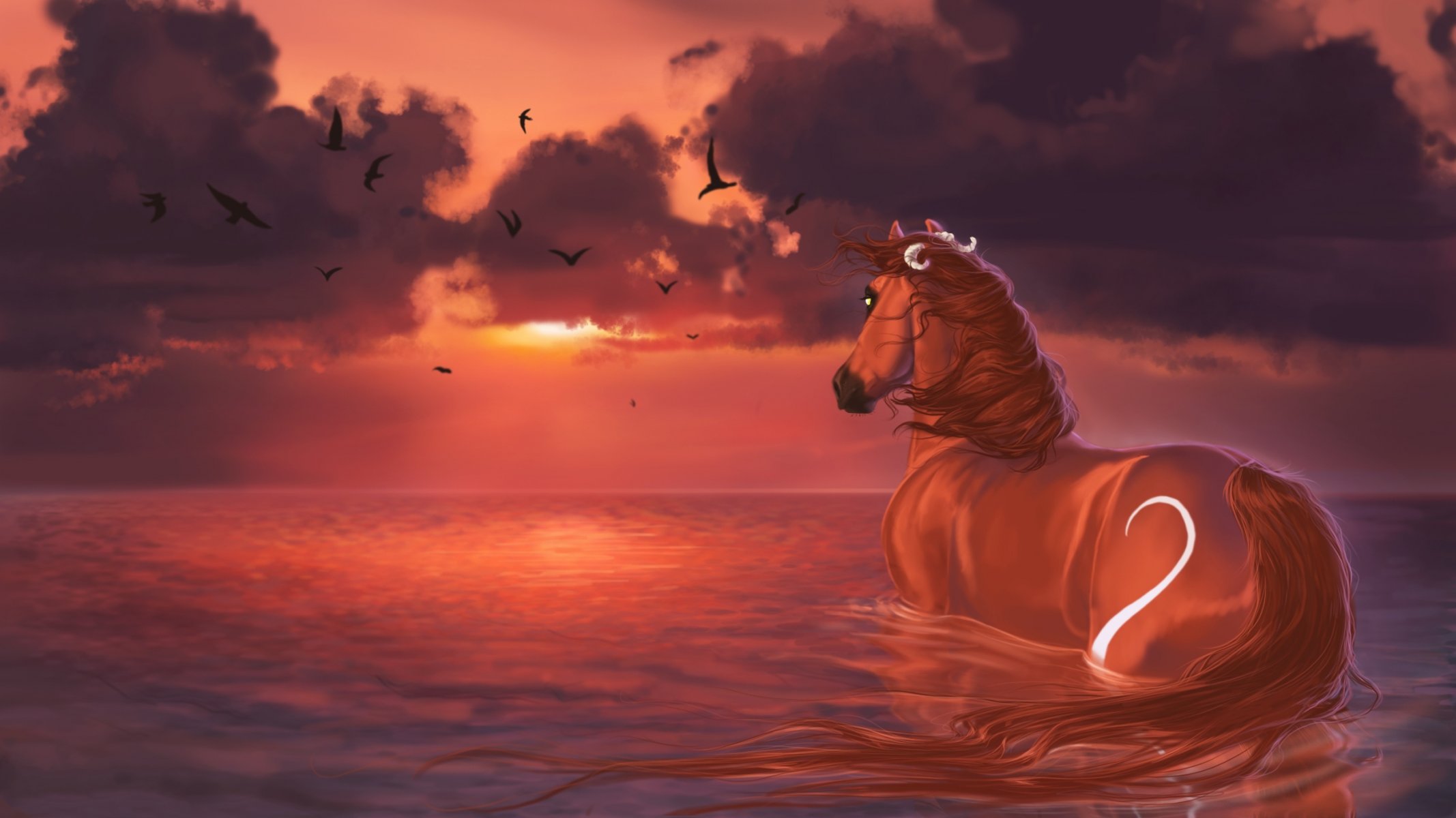 ciel brûlant coucher de soleil eau cheval peinture oiseaux nuages