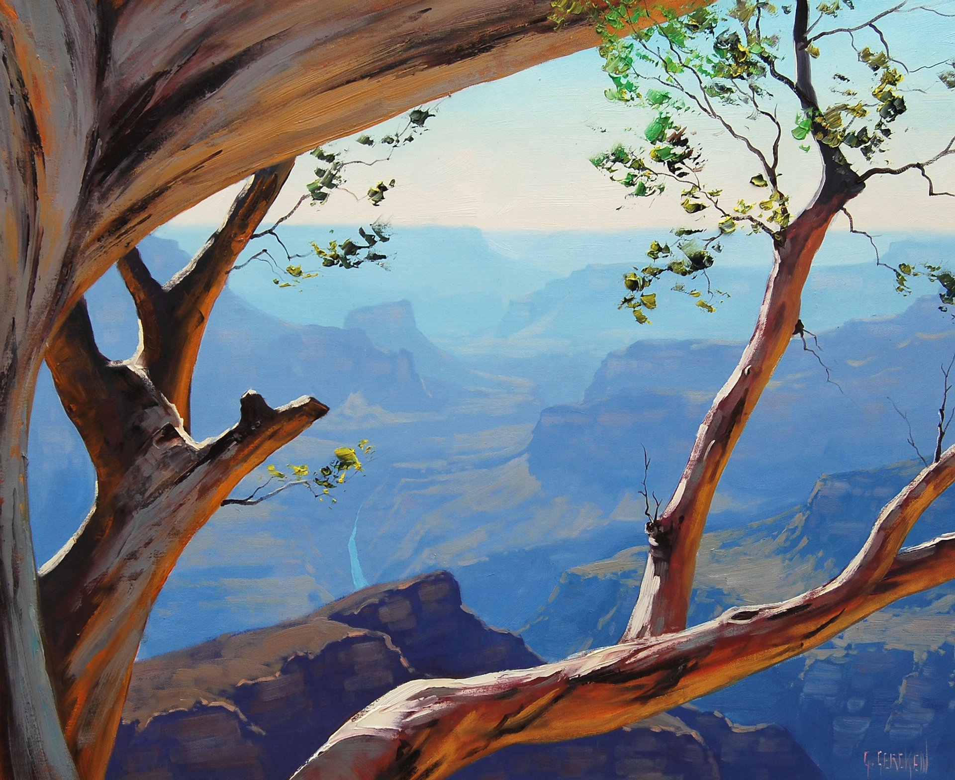 arte artsaus natura alberi rami canyon rocce curva