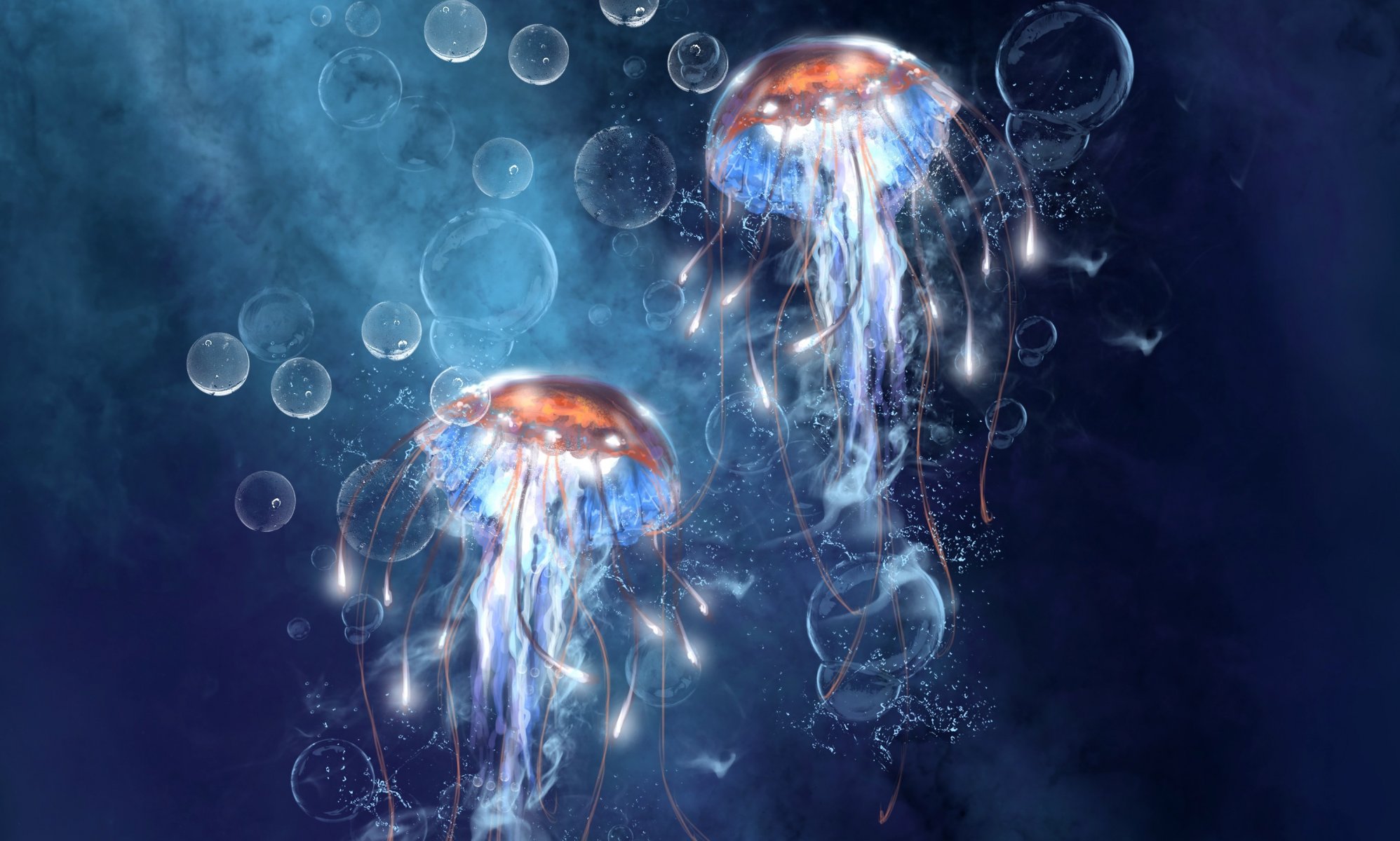 art sea underwater jellyfish bubbles bubble