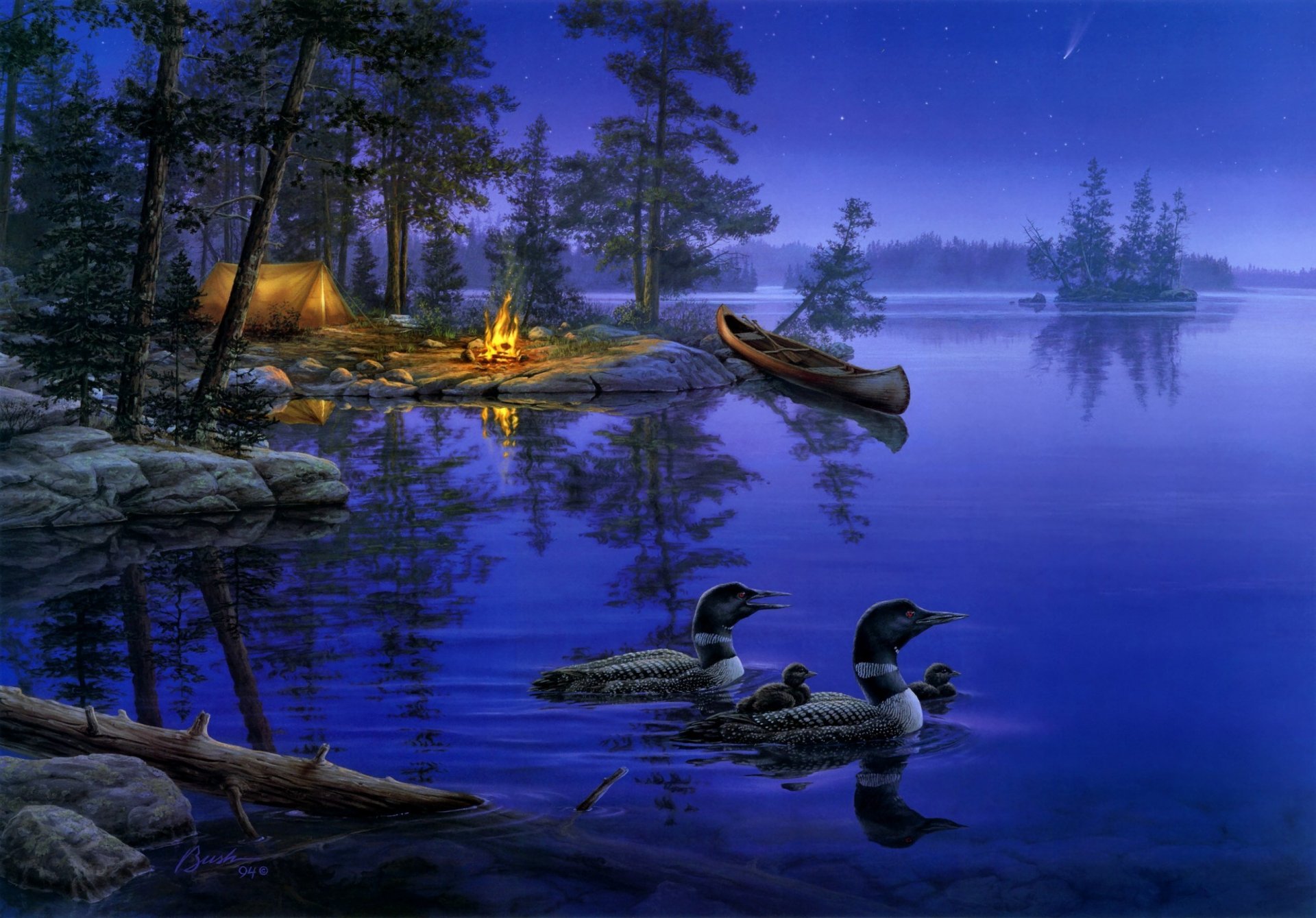 mundo lejos darrell bush pintura noche lago estrella bosque patos barco fogata fuego tienda naturaleza