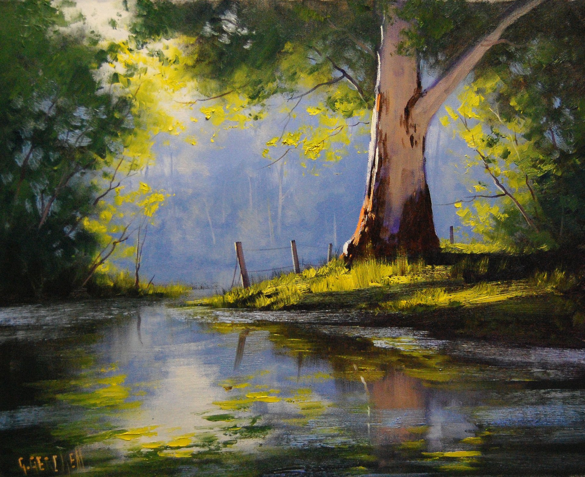 art picture artsaus river eucalyptus tree