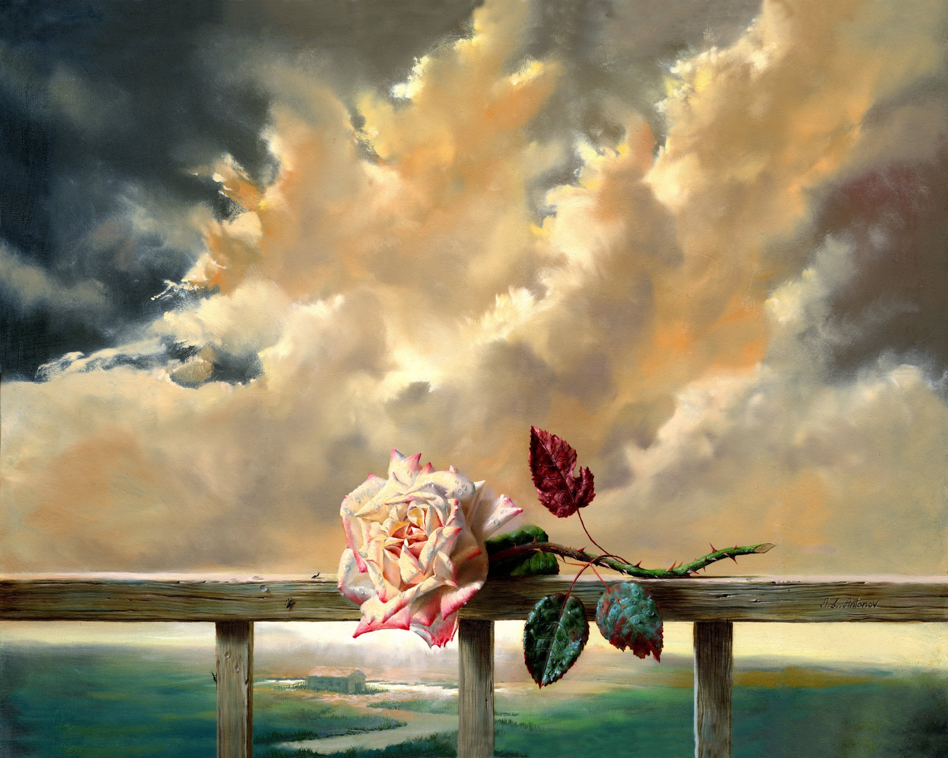 peinture fleur rose fraîcheur nuages