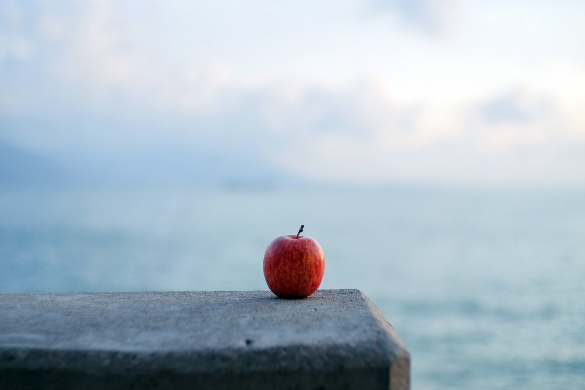 pomme fond minimalisme