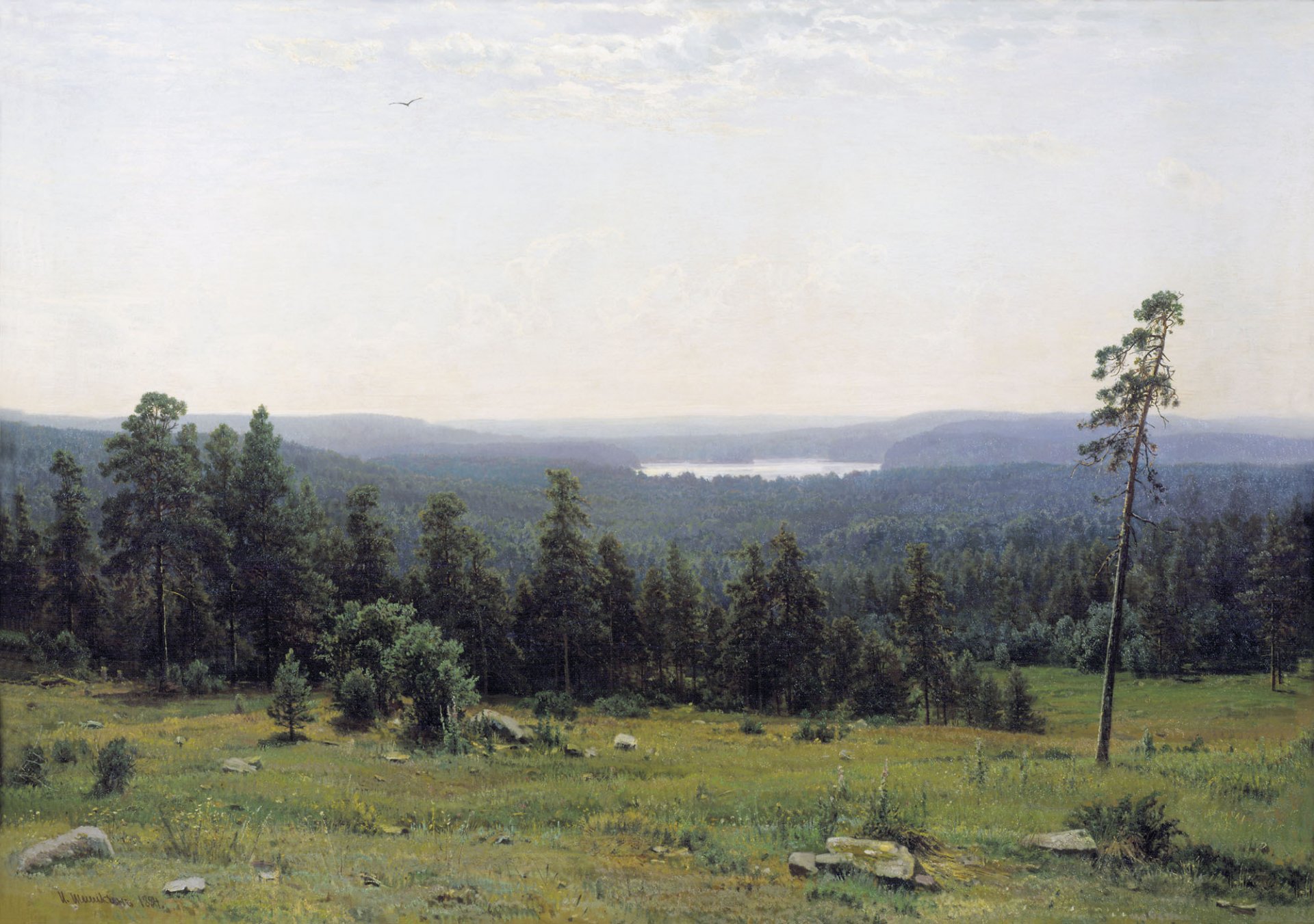 shishkin wald bild