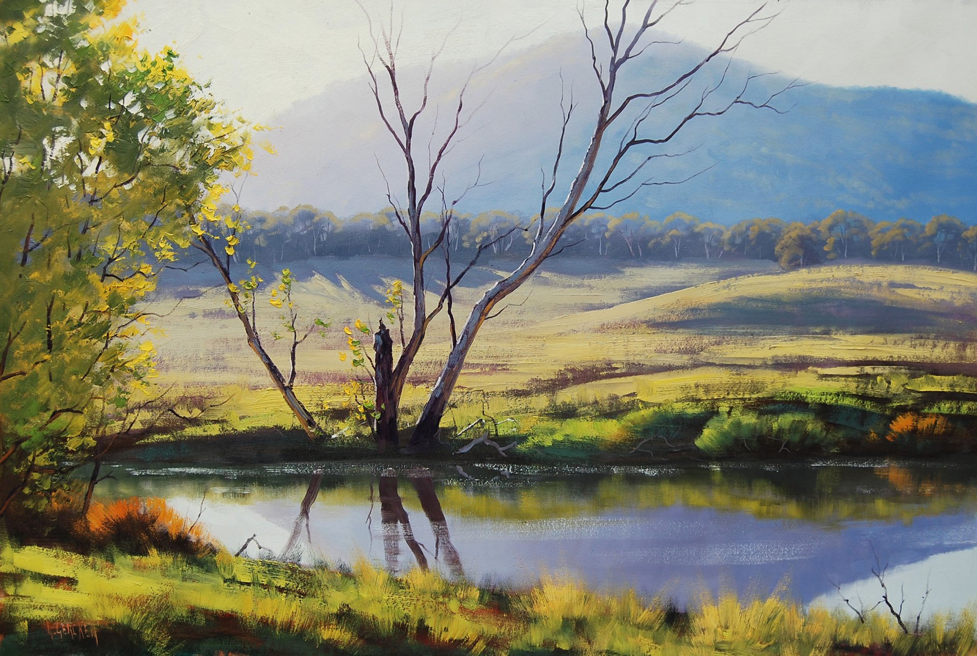 art picture artsaus fish river tarana