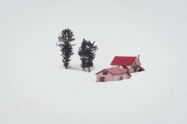 Minimalismo casa e alberi su sfondo bianco