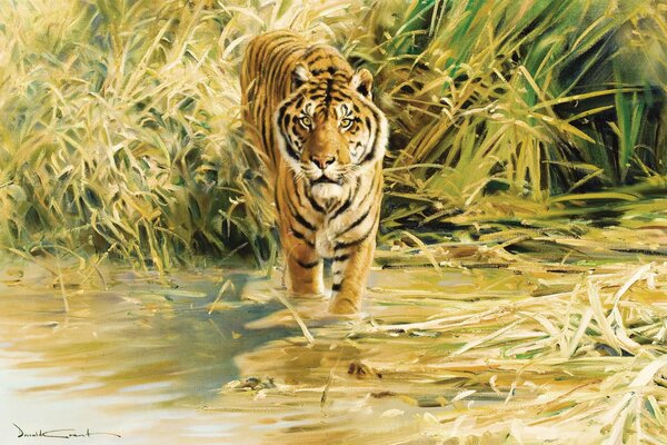 Pictorial drawing of a tiger with paints