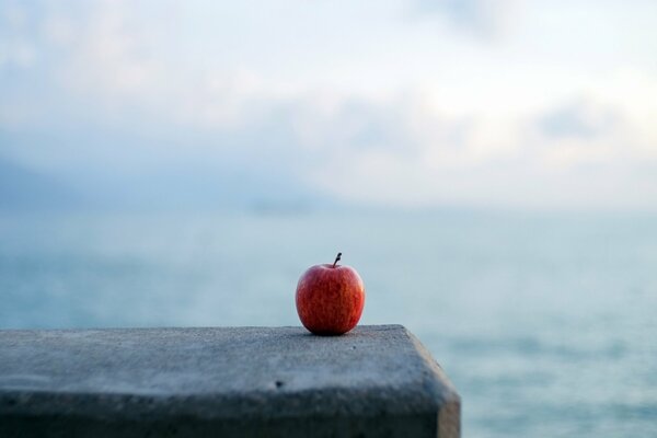 Minimalisme pomme solitaire au bord de l eau