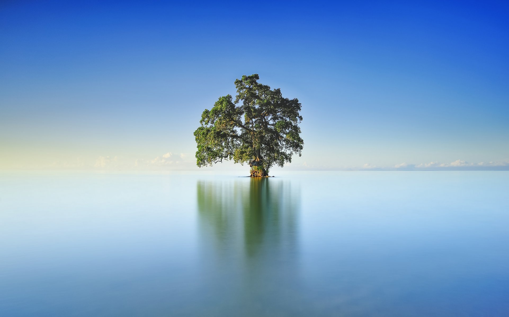 lac arbre ciel miroir réflexion nuages