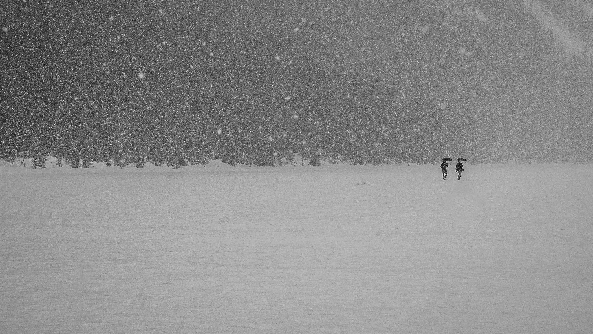 persone passeggiate lago congelato inverno neve ombrello montagna