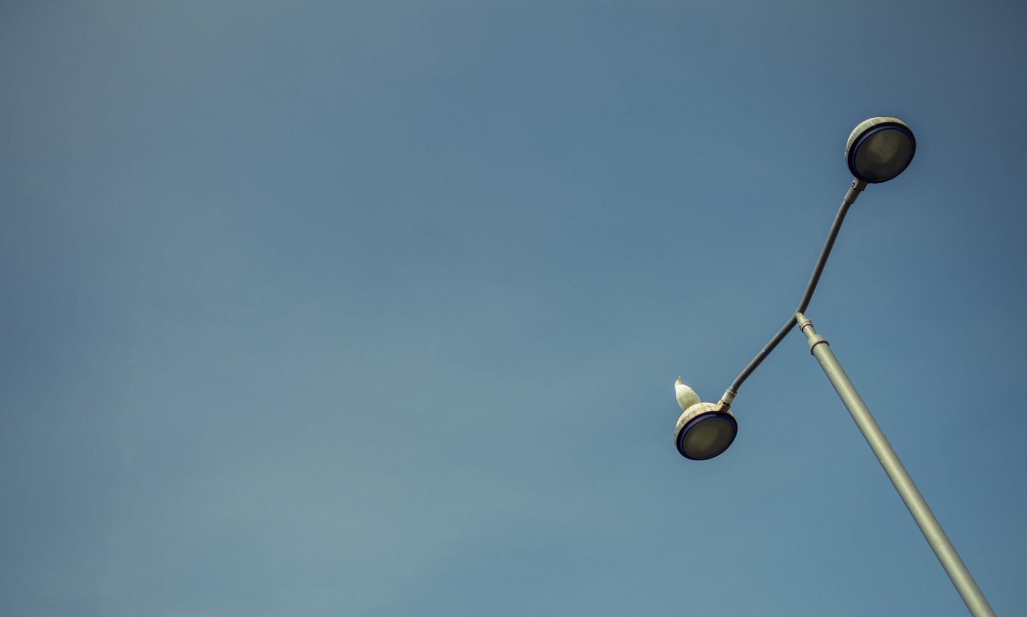 poste de luz lámpara pájaros cielo