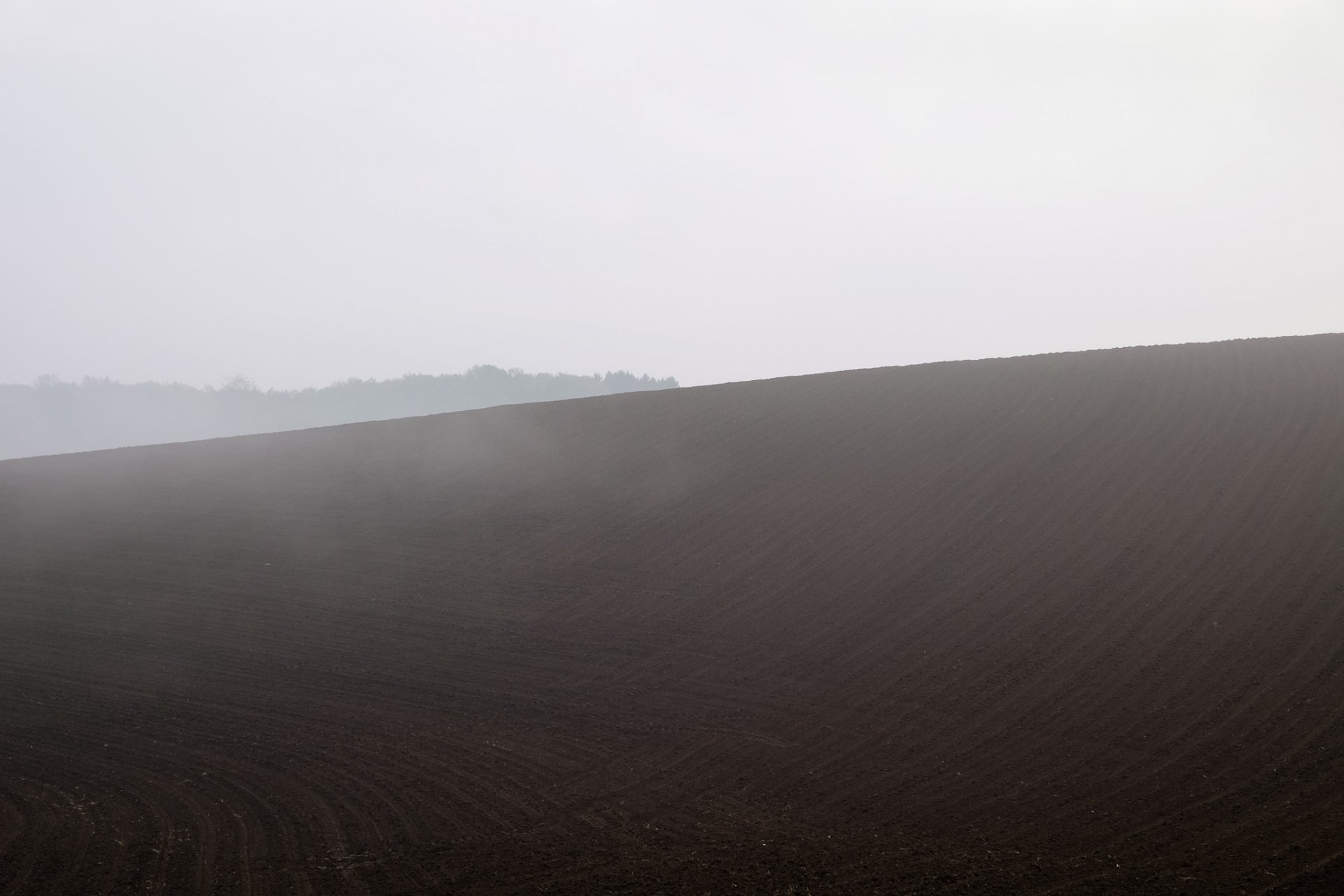 champ brouillard nature