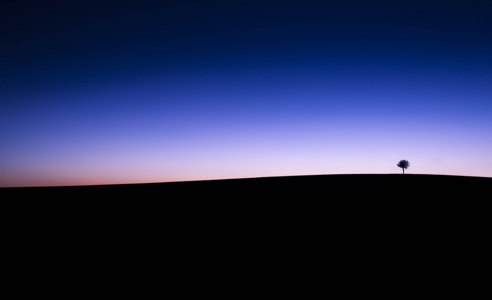 campo líneas árbol cielo crepúsculo