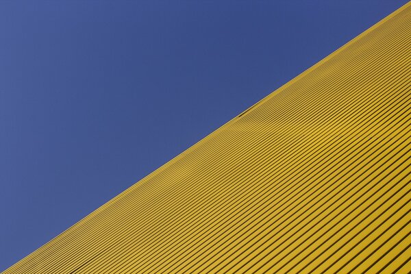 Campo amarillo bajo el cielo azul