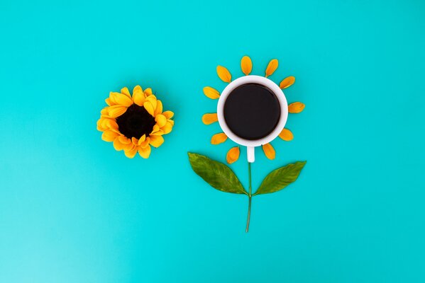 A cup with a flower. Top view