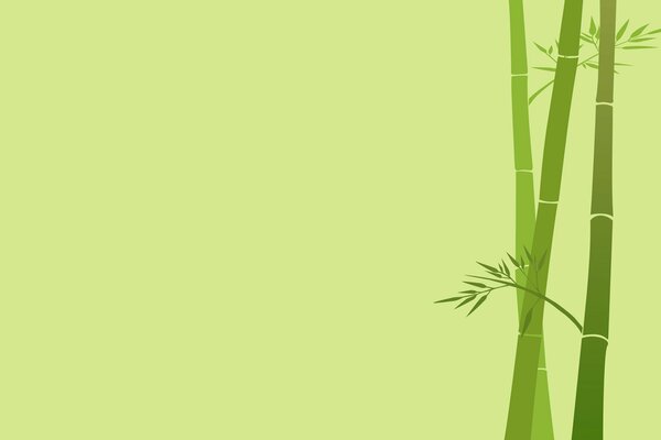 Bamboo stalk on a green background