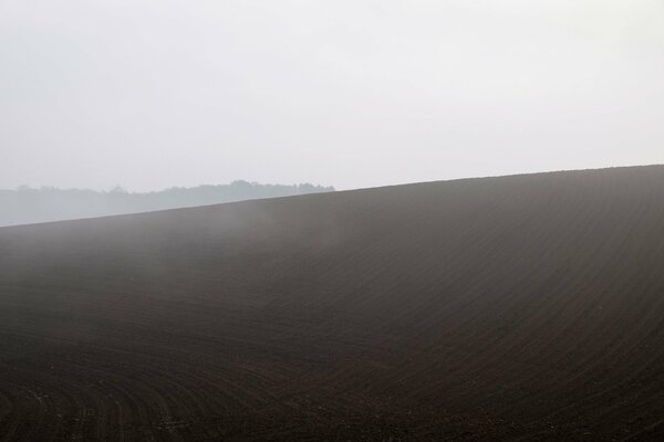 Champ propre du matin dans le brouillard