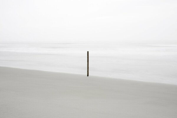 Calm sea. Clean coast. Lonely stick