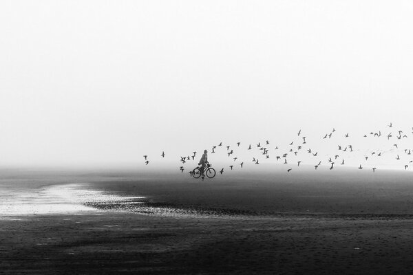 A man on a bicycle on the beach, and birds are flying over him