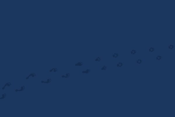 Human and animal footprints on a blue background
