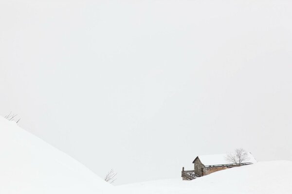 Casa de pie en medio del campo en invierno en la niebla