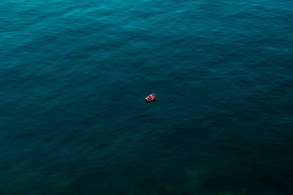 A metal Coca-Cola can floats in the water