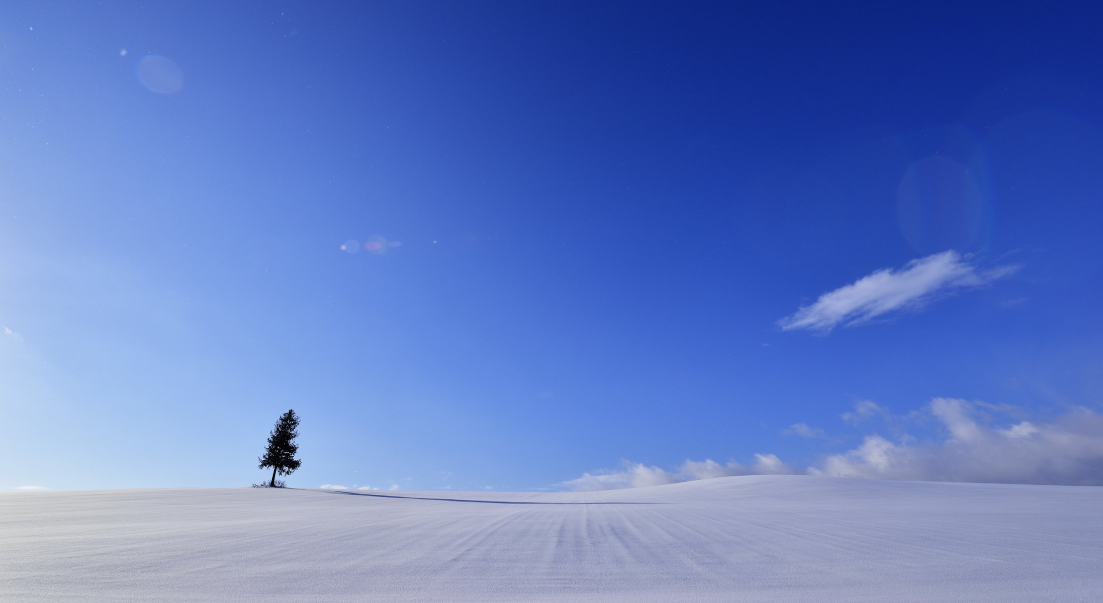 campo albero paesaggio minimalismo