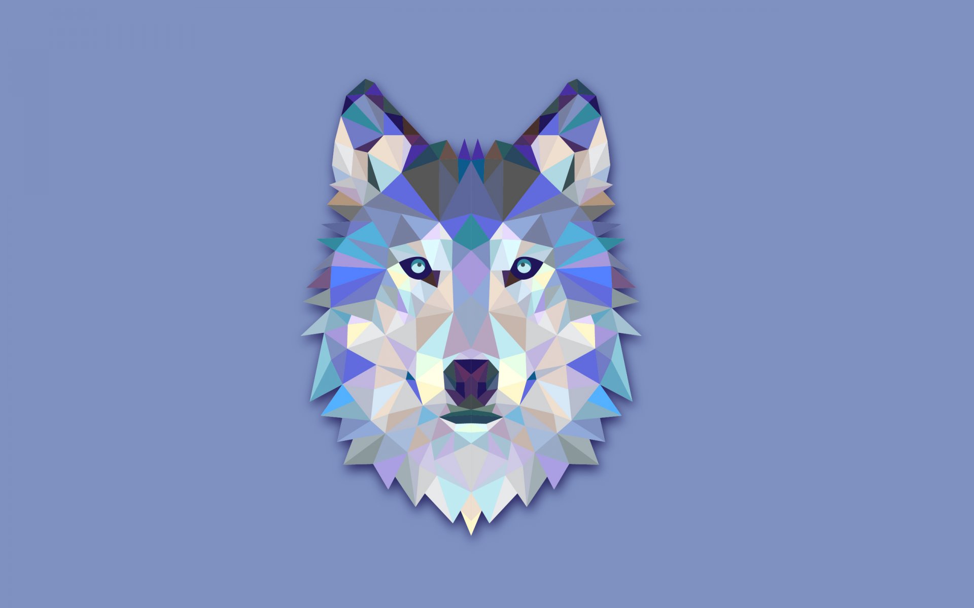 wolf head abstract minimalism light background