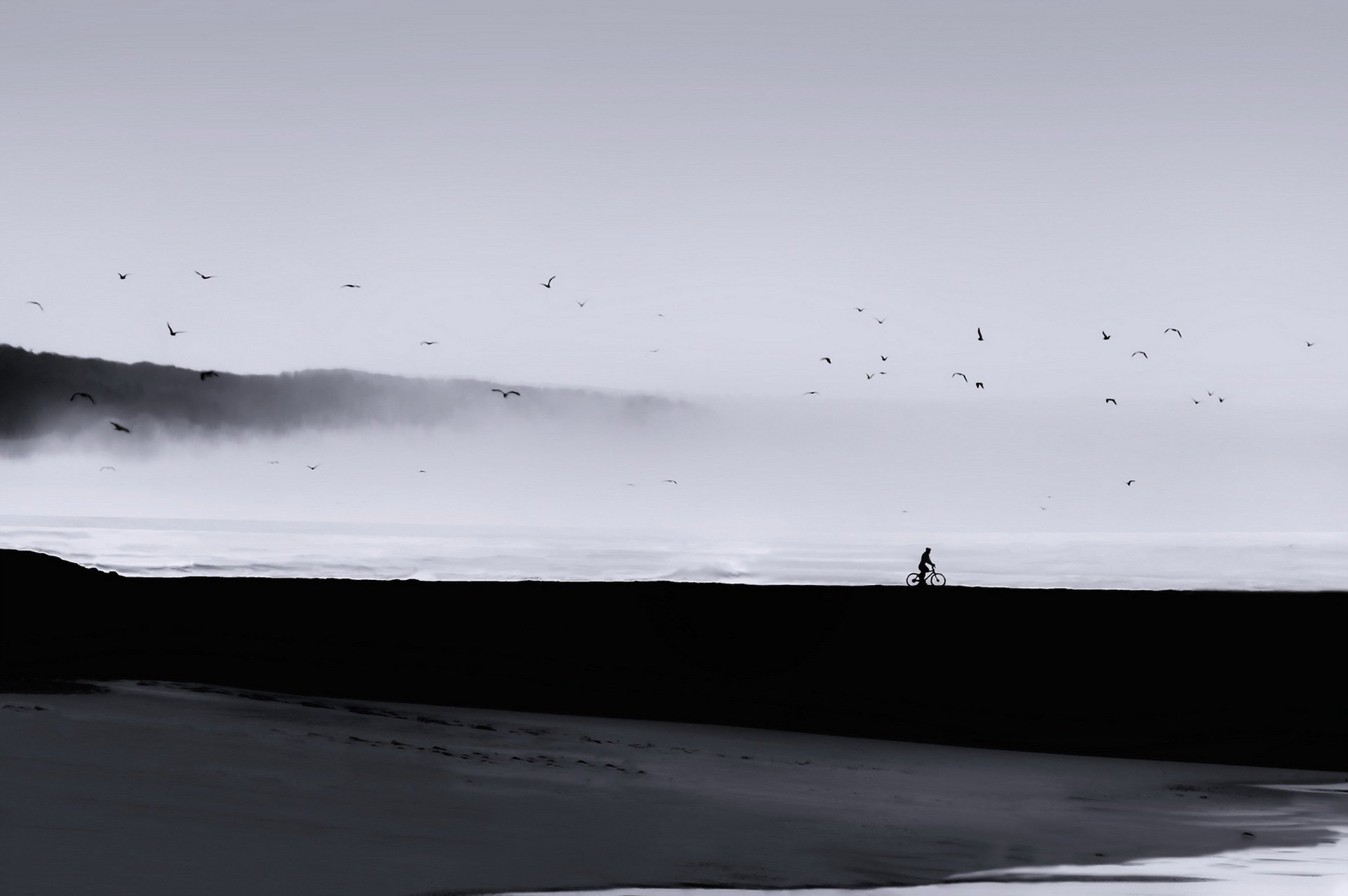 man sea birds fog landscape minimalism