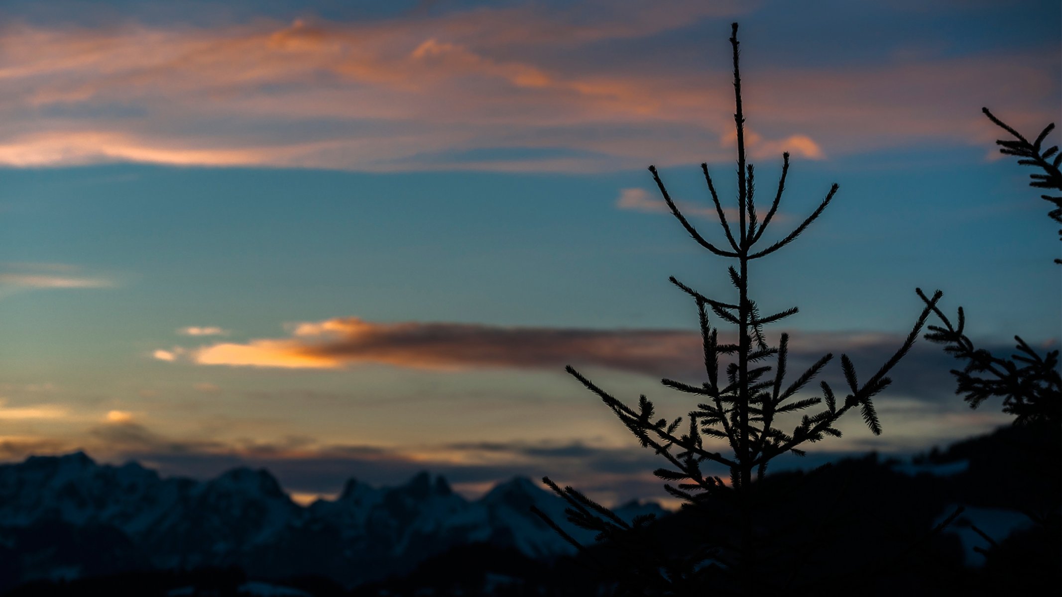 nature montagnes suisse