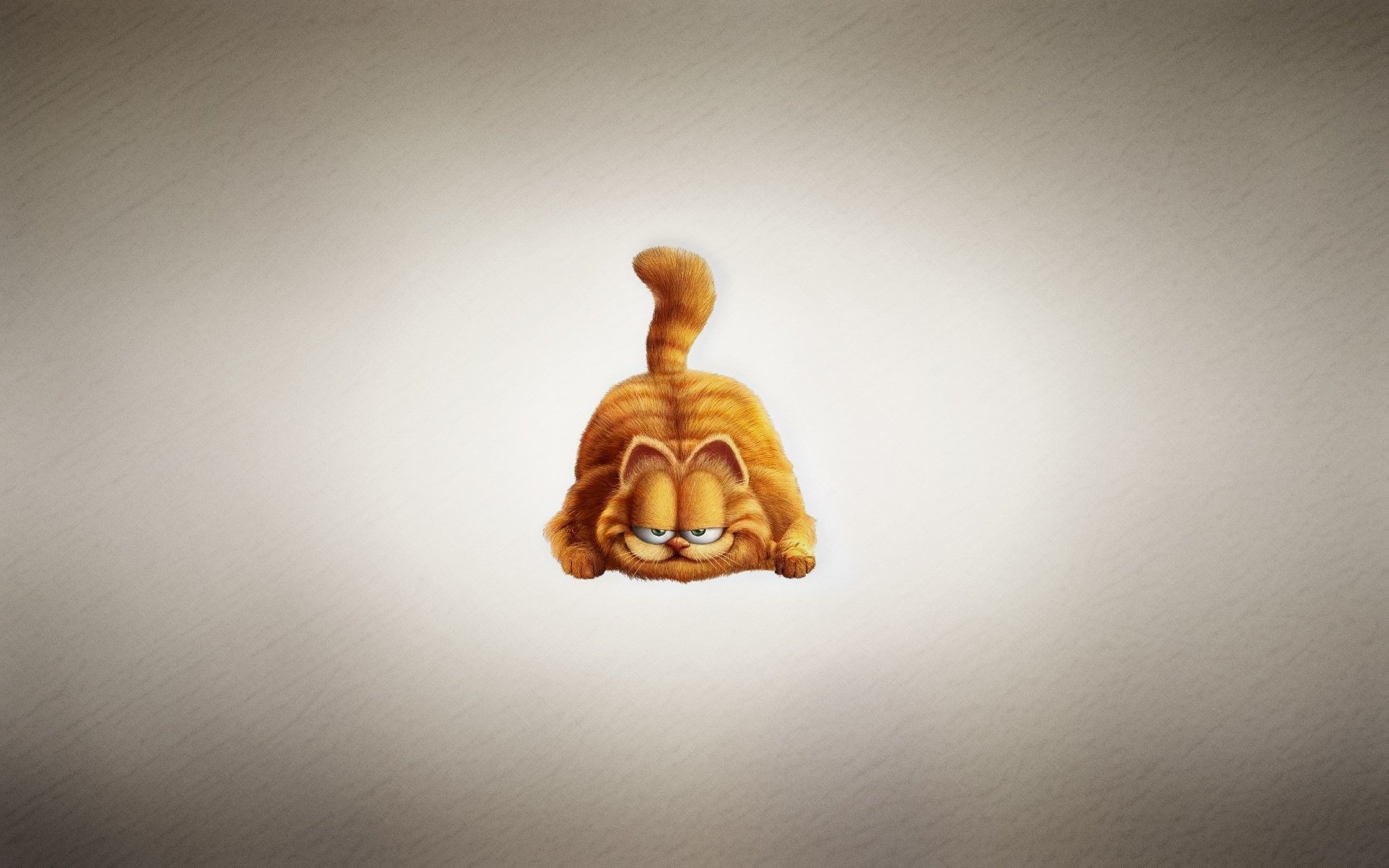 garfield katze rothaarig mollig schlaue schnauze heller hintergrund