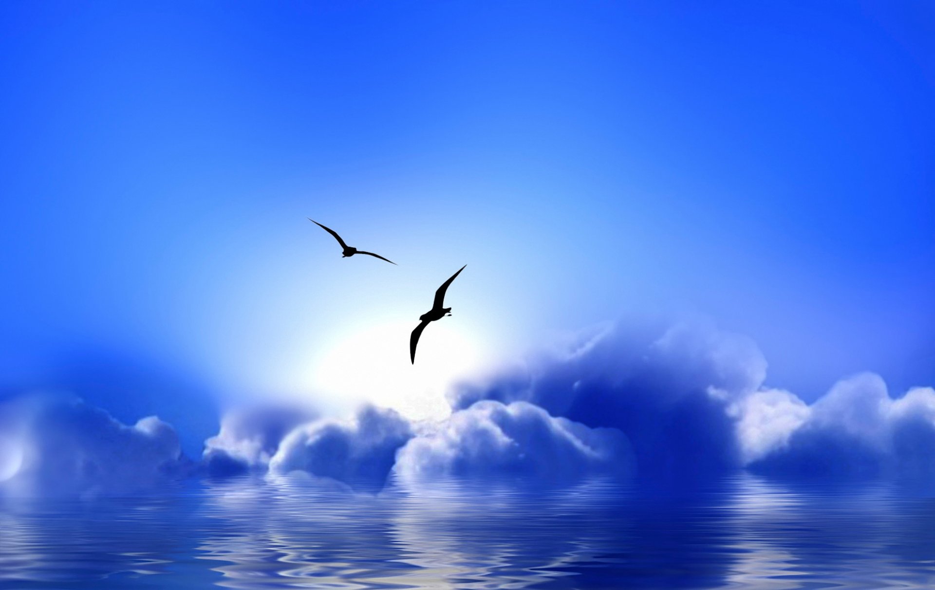 blue paradise gulls cloud