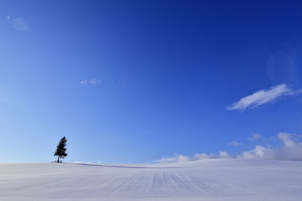 Paesaggio minimalista invernale con albero