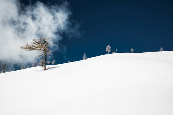 Nel Nord, Il Selvaggio è solo