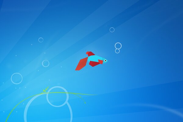 Foto in stile minimalismo Per Windows 8: pesce con pere su sfondo blu