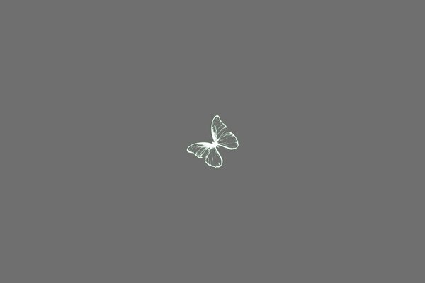 Foto en el estilo de minimalismo: una mariposa sobre un fondo gris