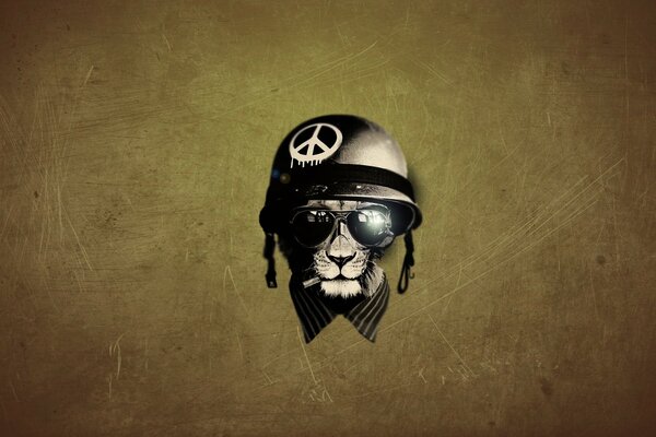 Cool Lion dans un casque et des lunettes