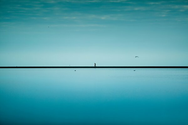 Homme solitaire avec un oiseau sur l horizon de la mer