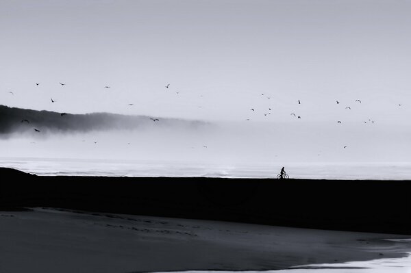 A gloomy photo with a man by the sea on a bicycle