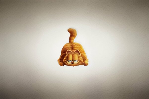 El hocico del gato de garfield