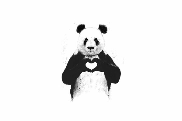Cute panda shows heart