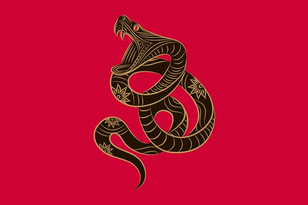 Graphic image of a snake on a bright background