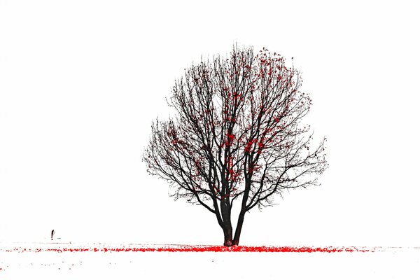 An image of a tree with red leaves with a silhouette of a man standing next to it