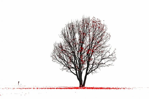 Imagen de un árbol con hojas rojas con una silueta humana de pie al lado